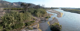 Discover the Santa Clara River